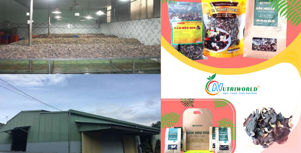 NUTRIWORLD - XƯỞNG GIA CÔNG ĐÓNG GÓI THÀNH PHẨM