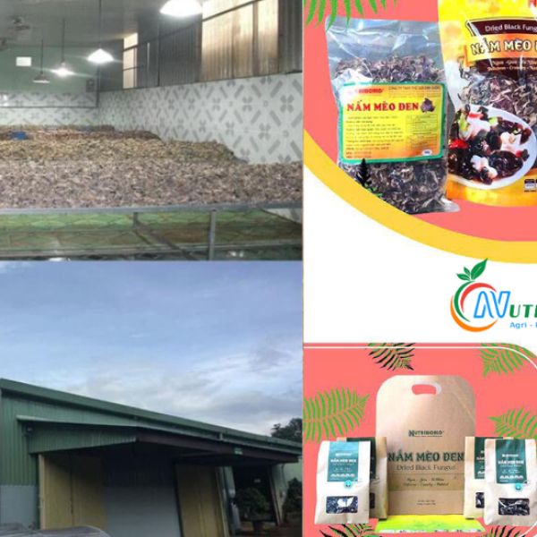 NUTRIWORLD - XƯỞNG GIA CÔNG ĐÓNG GÓI THÀNH PHẨM