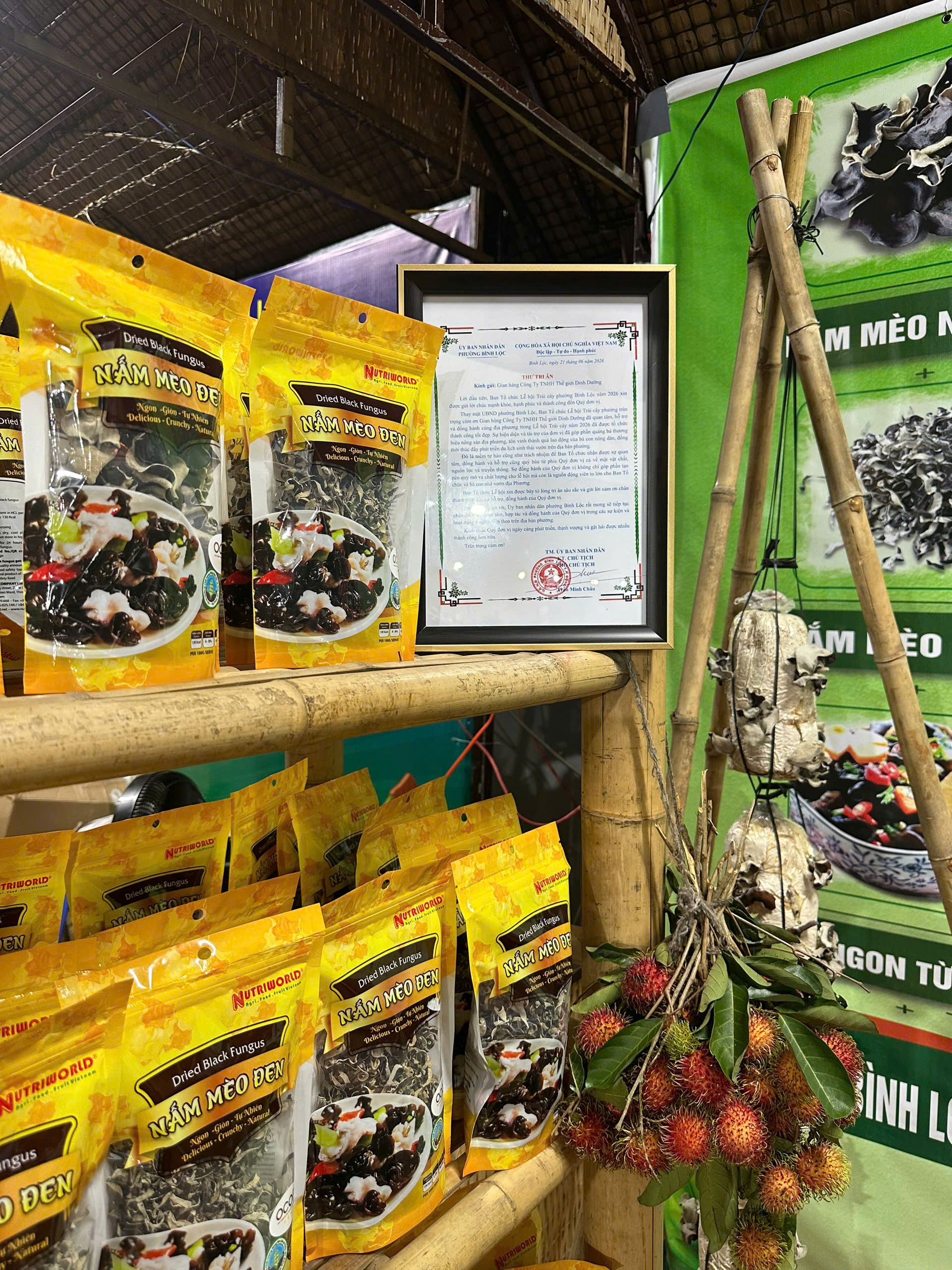 Nấm mèo NUTRIWORLD