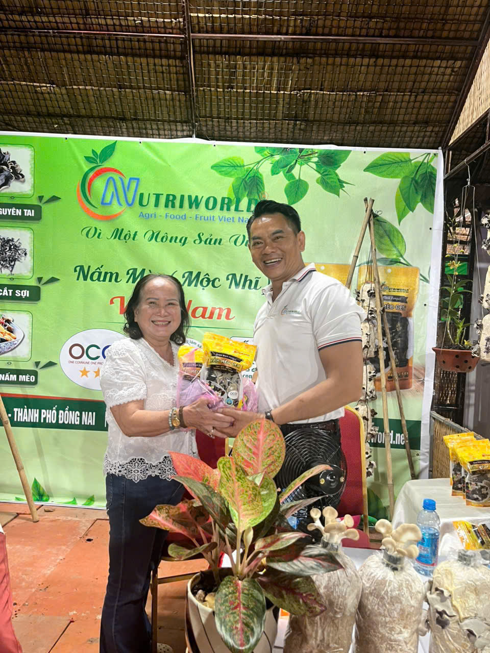 Nấm mèo NUTRIWORLD