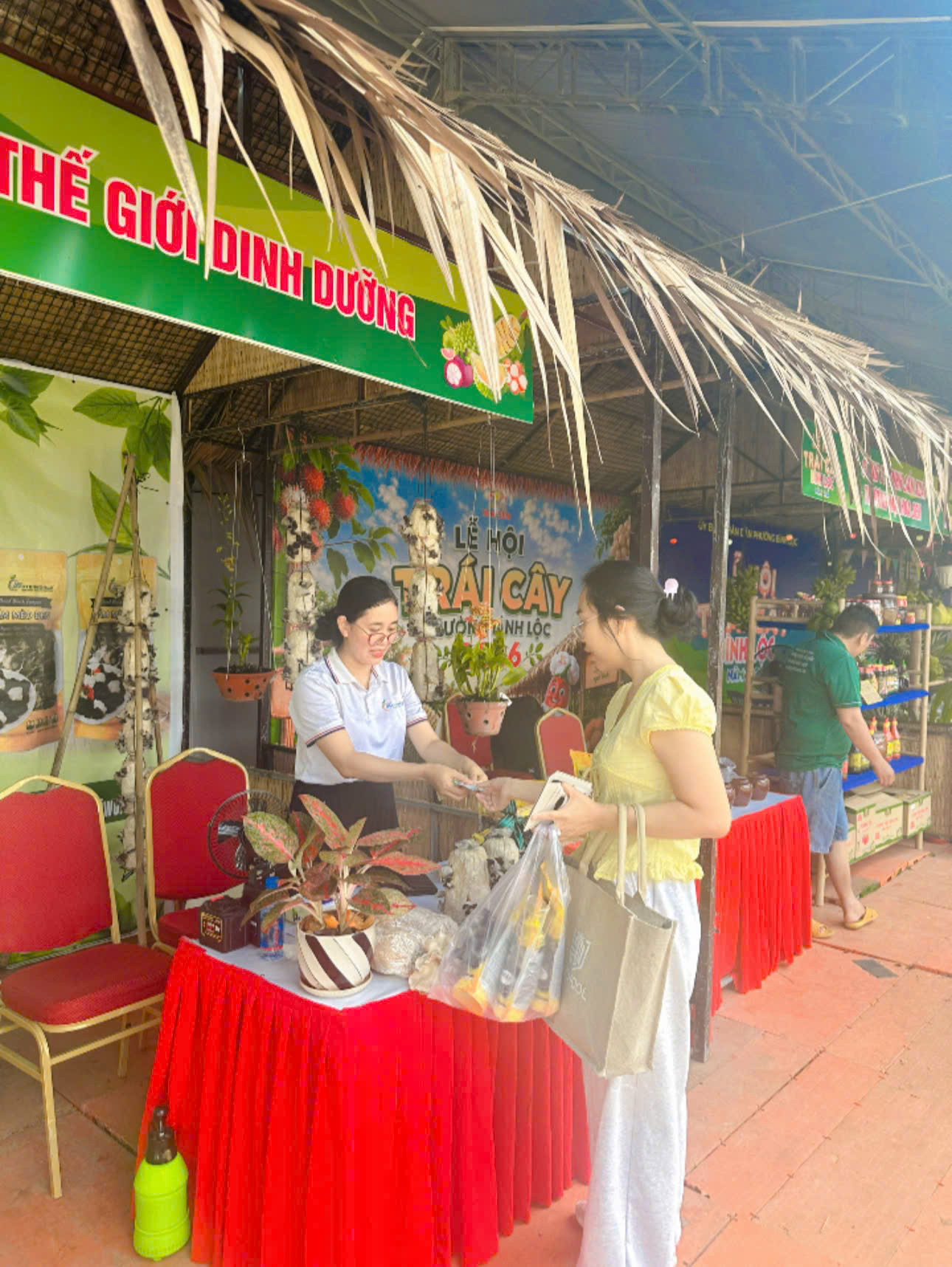 Nấm mèo NUTRIWORLD