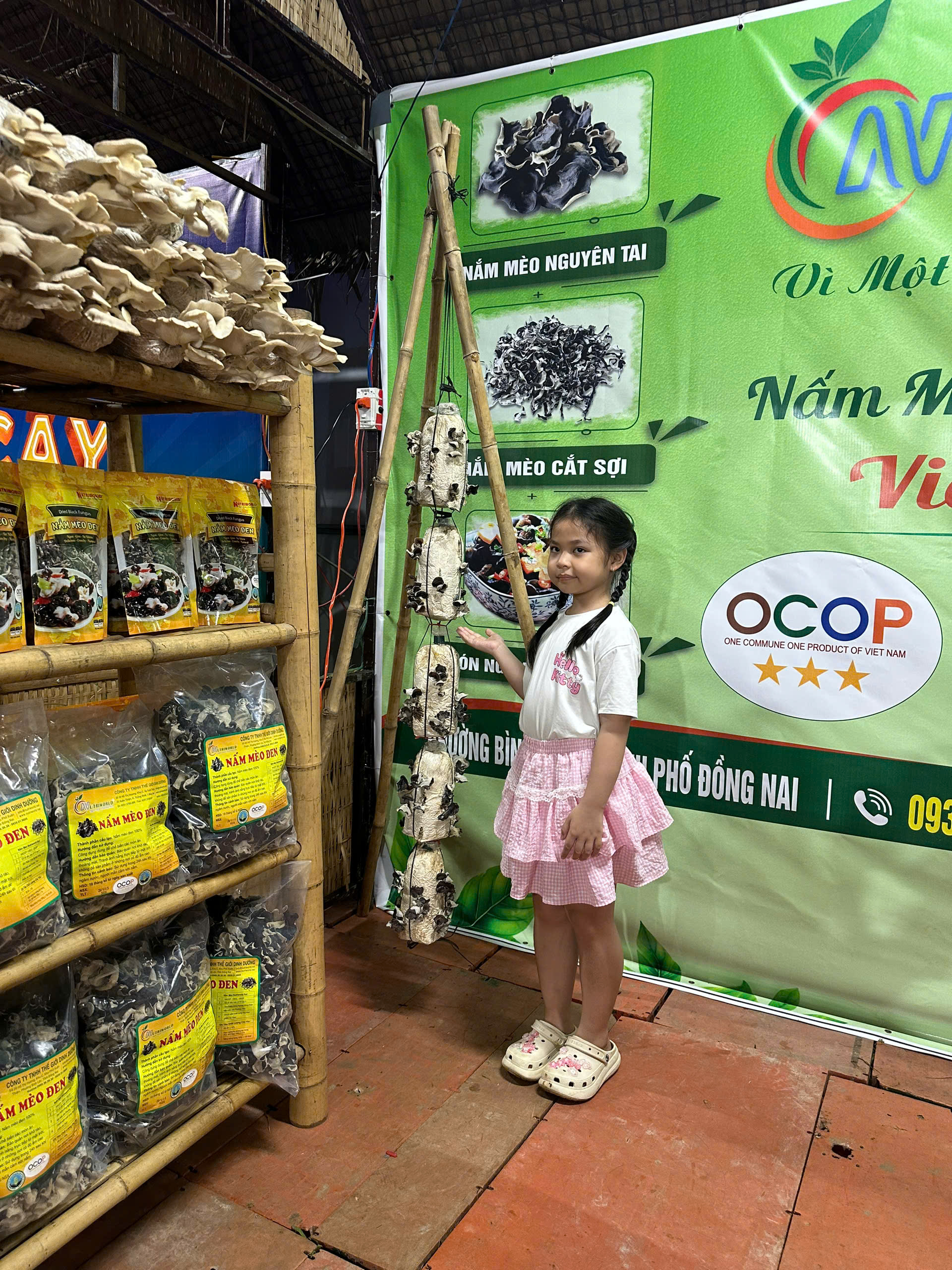 Nấm mèo NUTRIWORLD