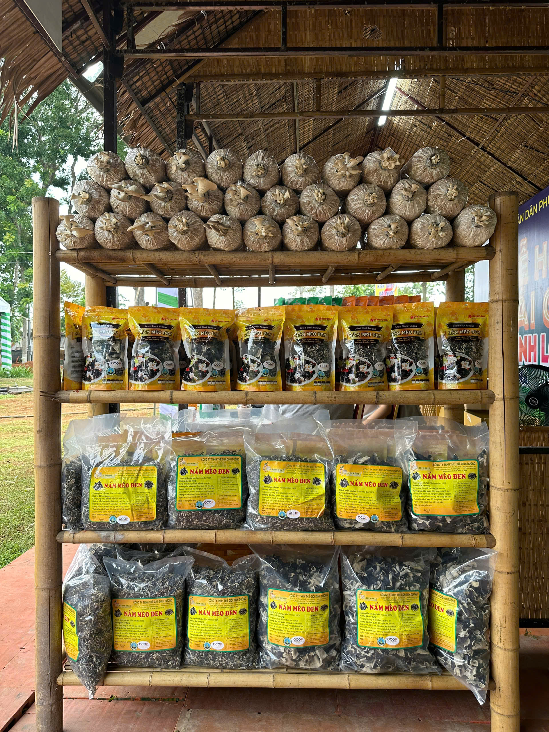 Nấm mèo NUTRIWORLD