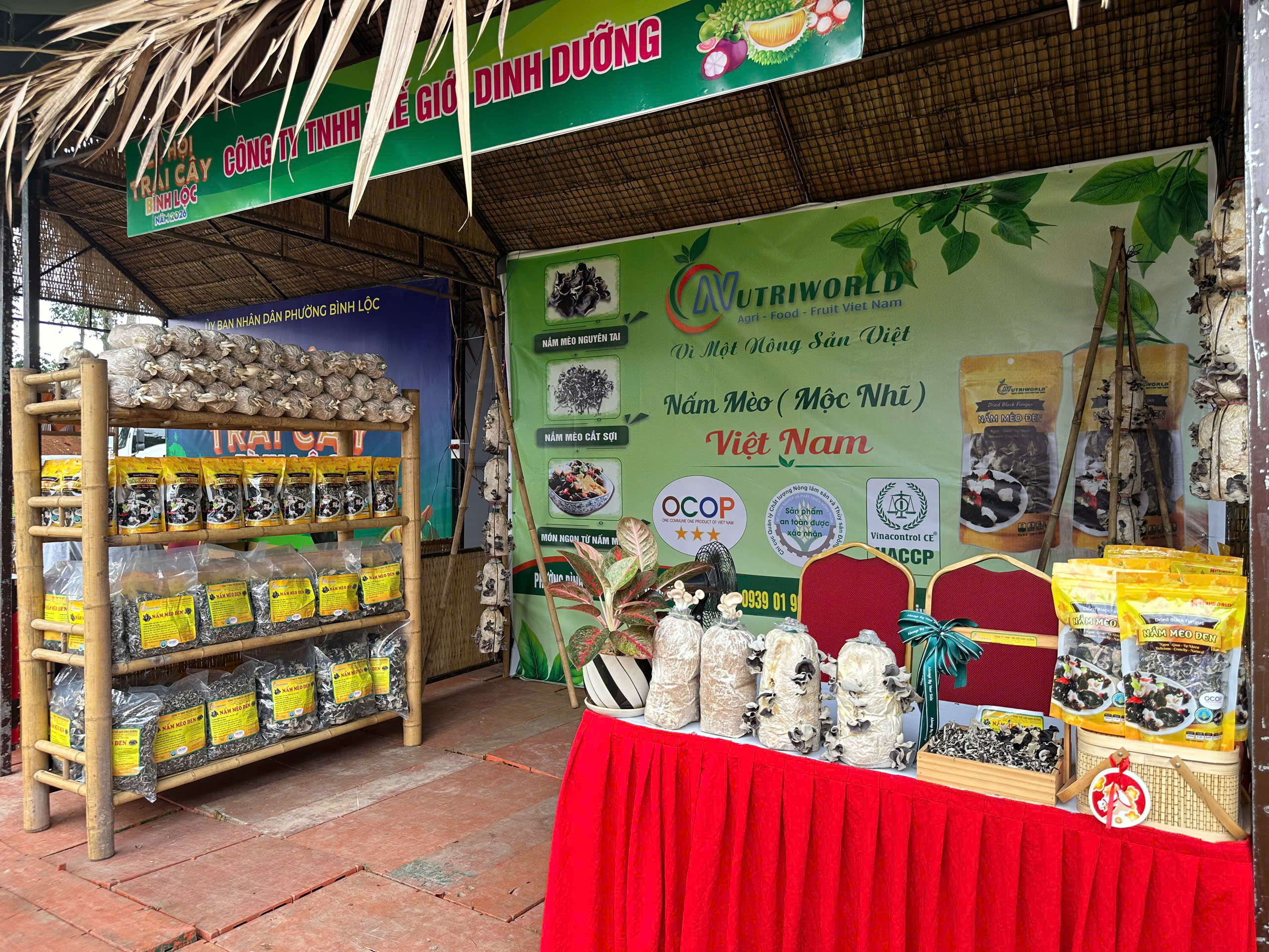 Nấm mèo NUTRIWORLD