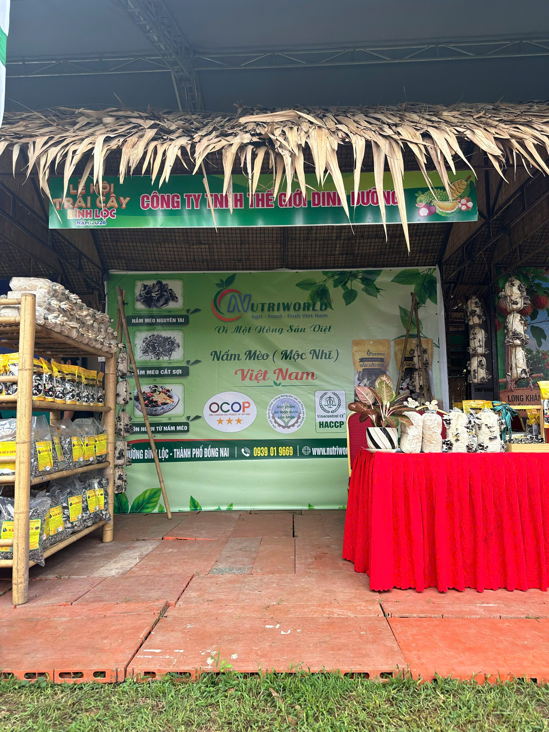 Nấm mèo NUTRIWORLD
