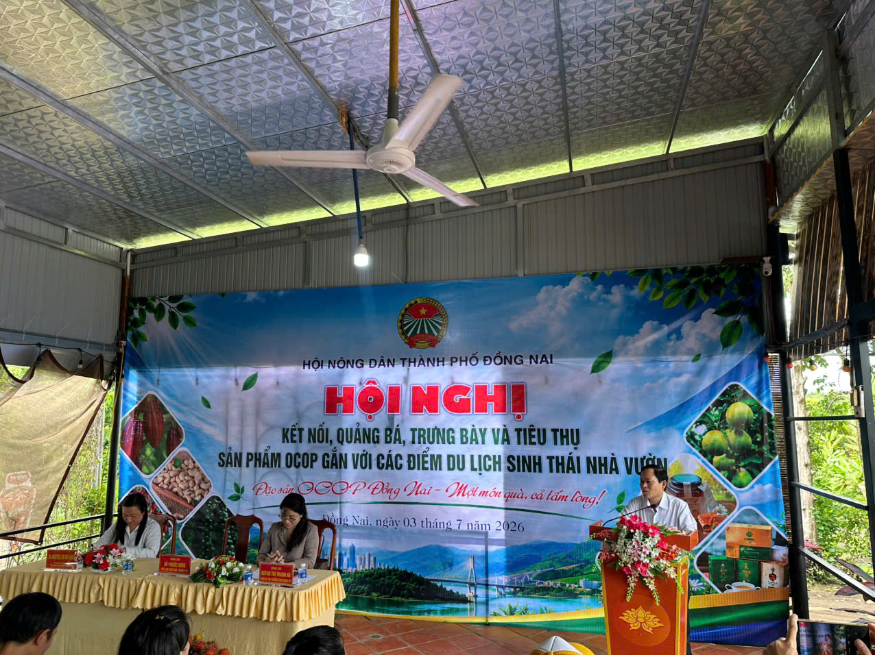 nấm mèo