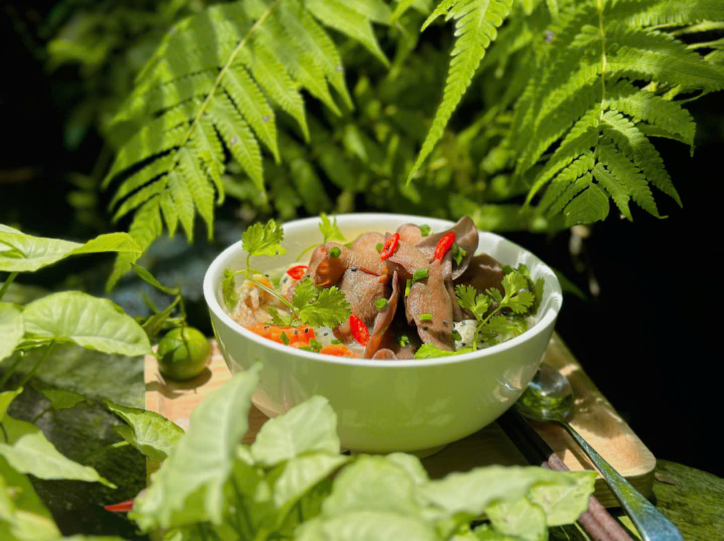 Bánh canh gà nấm mèo Nutriworld