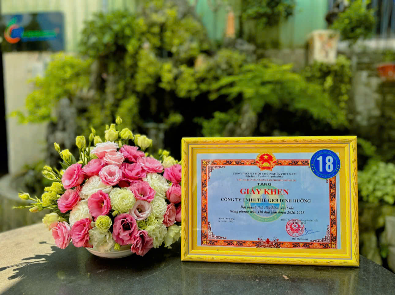 nấm mèo Mộc Nhĩ Nutriworld