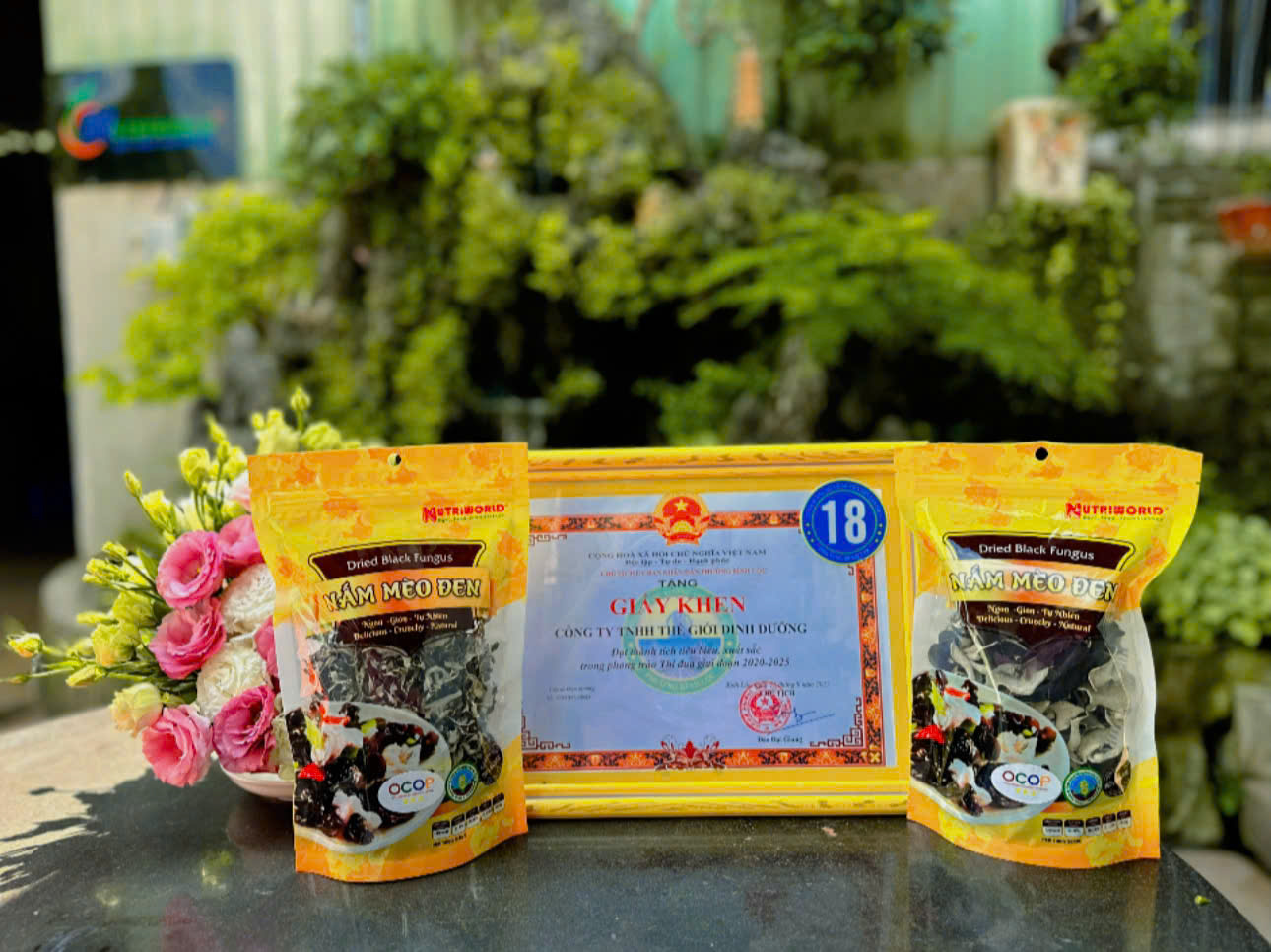 nấm mèo Mộc Nhĩ Nutriworld