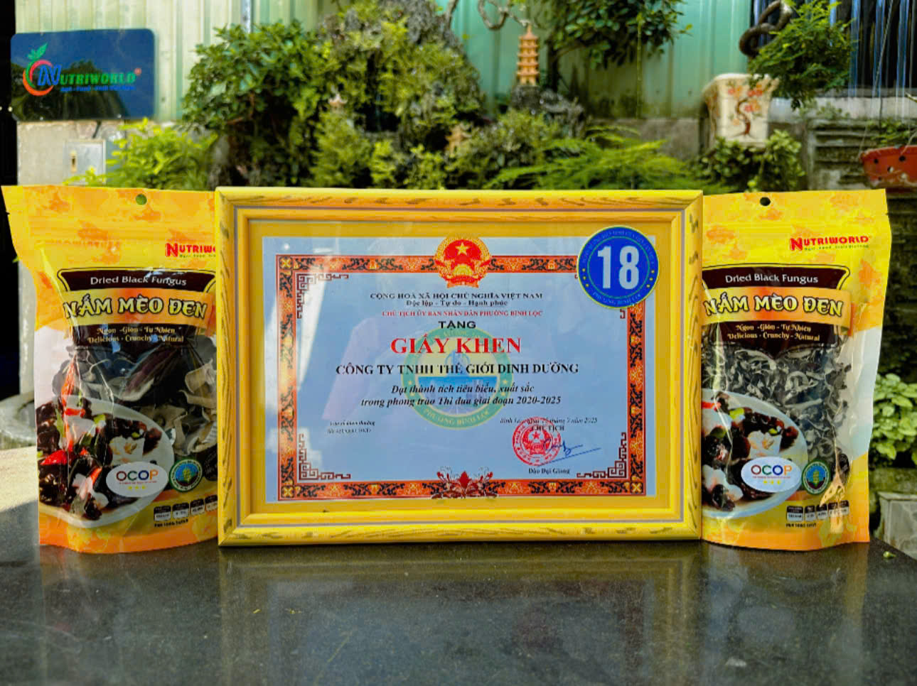 nấm mèo Mộc Nhĩ Nutriworld